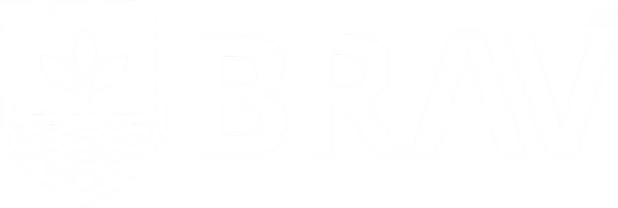 BRAV AG